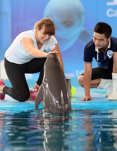 案例啟示 案例啟示