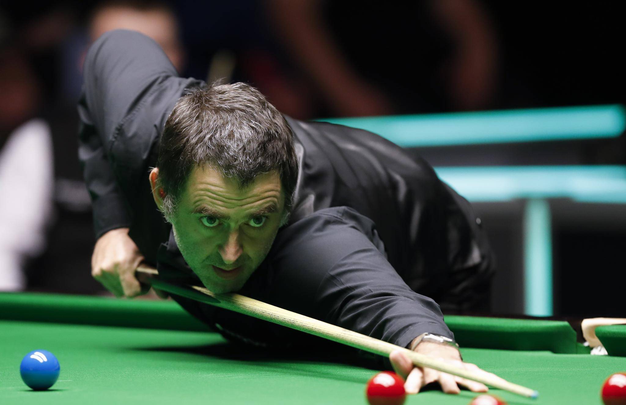 用专业与耐 用专业与耐